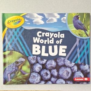 Crayola Blue Adventure Book for Kids